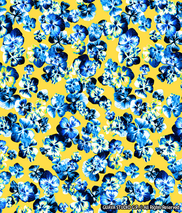 0134A- Blue and Yellow Pansies