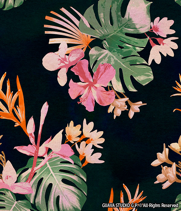 0301B - Tropical Hibiscus and Foliage