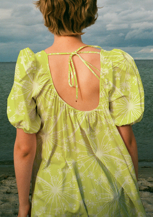 0337A- Two tone lime green dandelions