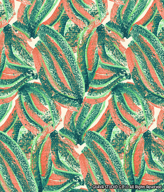 0577A - Abstract Brushstroke Fruits (2 color combos)