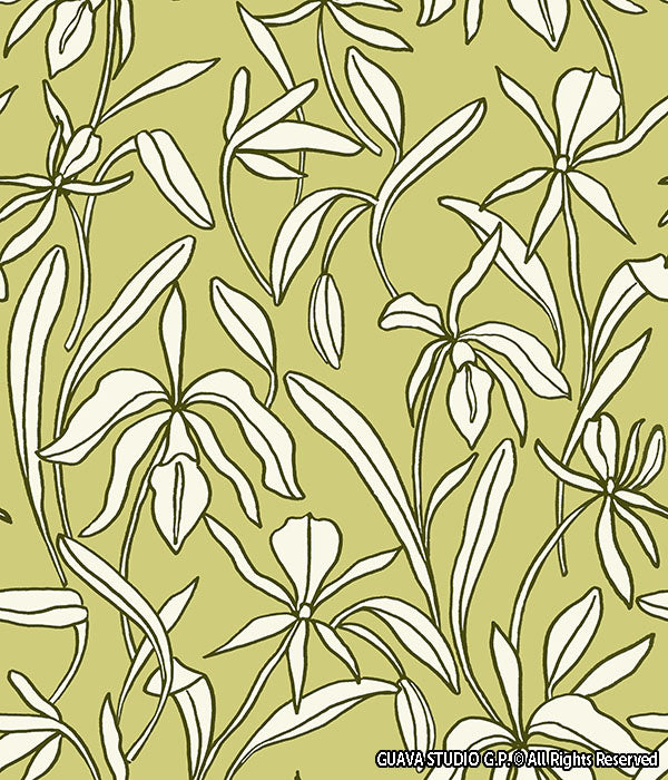 0867D- Faded Green Outlined Orchids