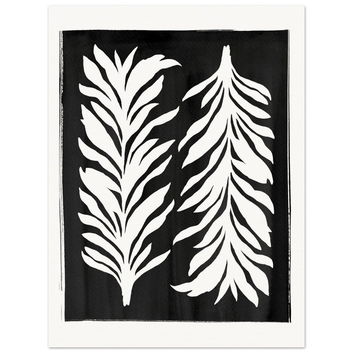 Black and White Lily Foliage
