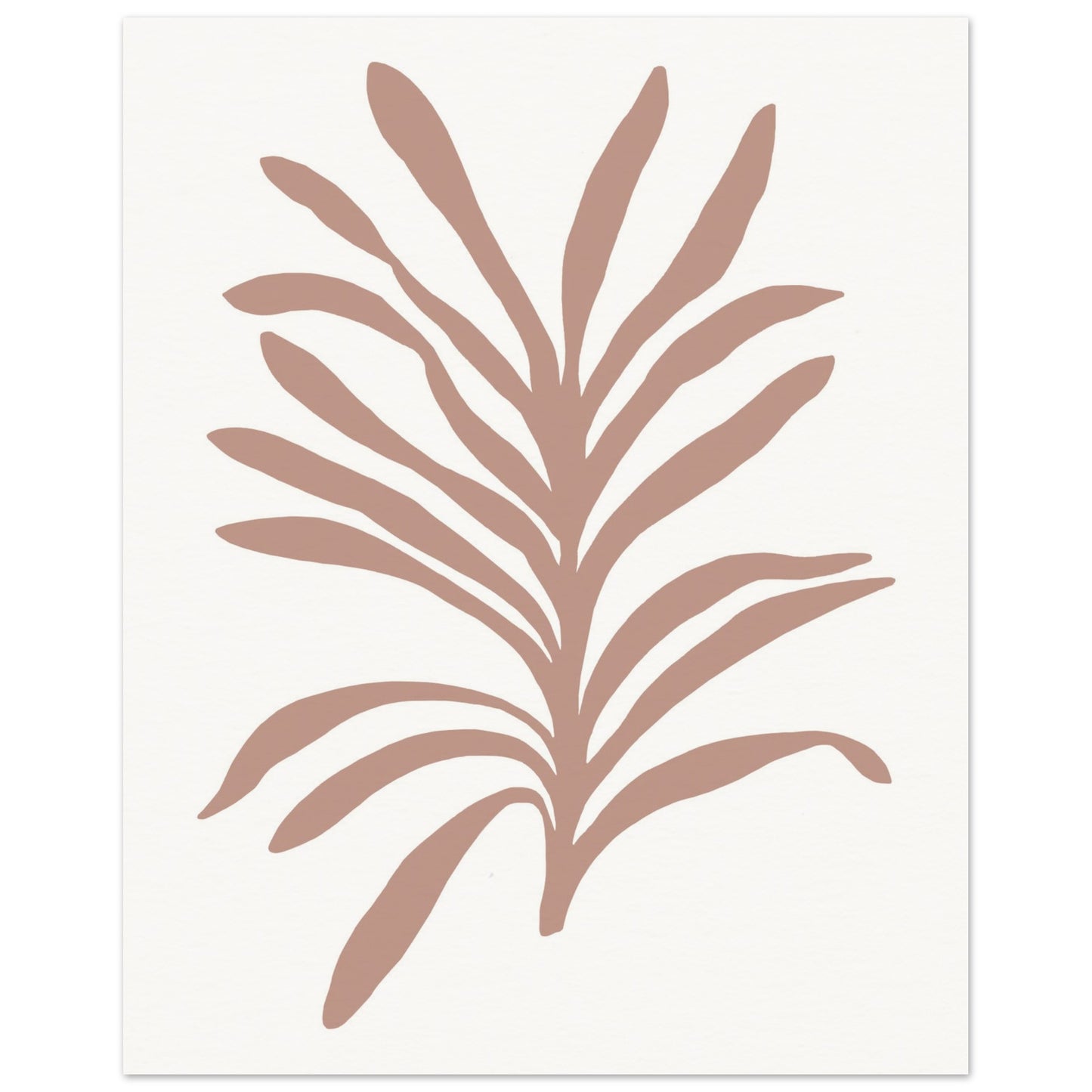 Dusty Rose Orchid Foliage