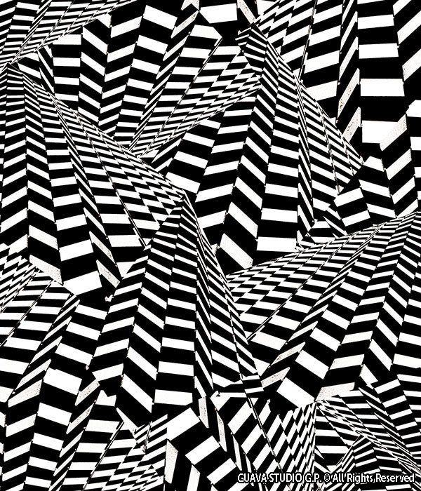 0011A- Black and White Optical Stripes