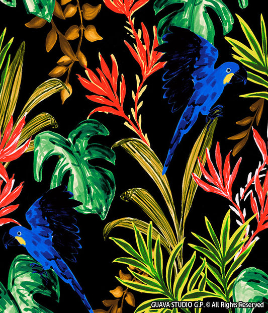 0756C- Black Tropical Foliage Macaw Print