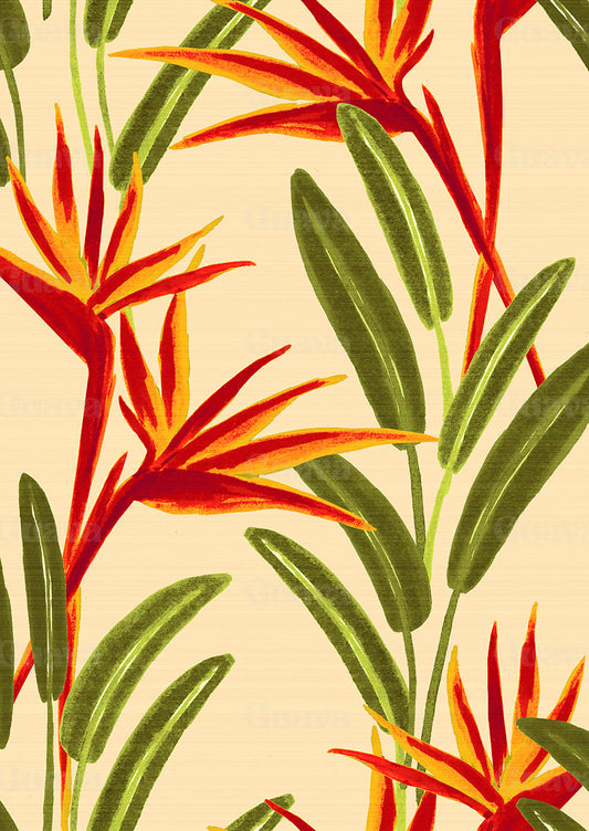 0848D- Birds of Paradise Tropical Print