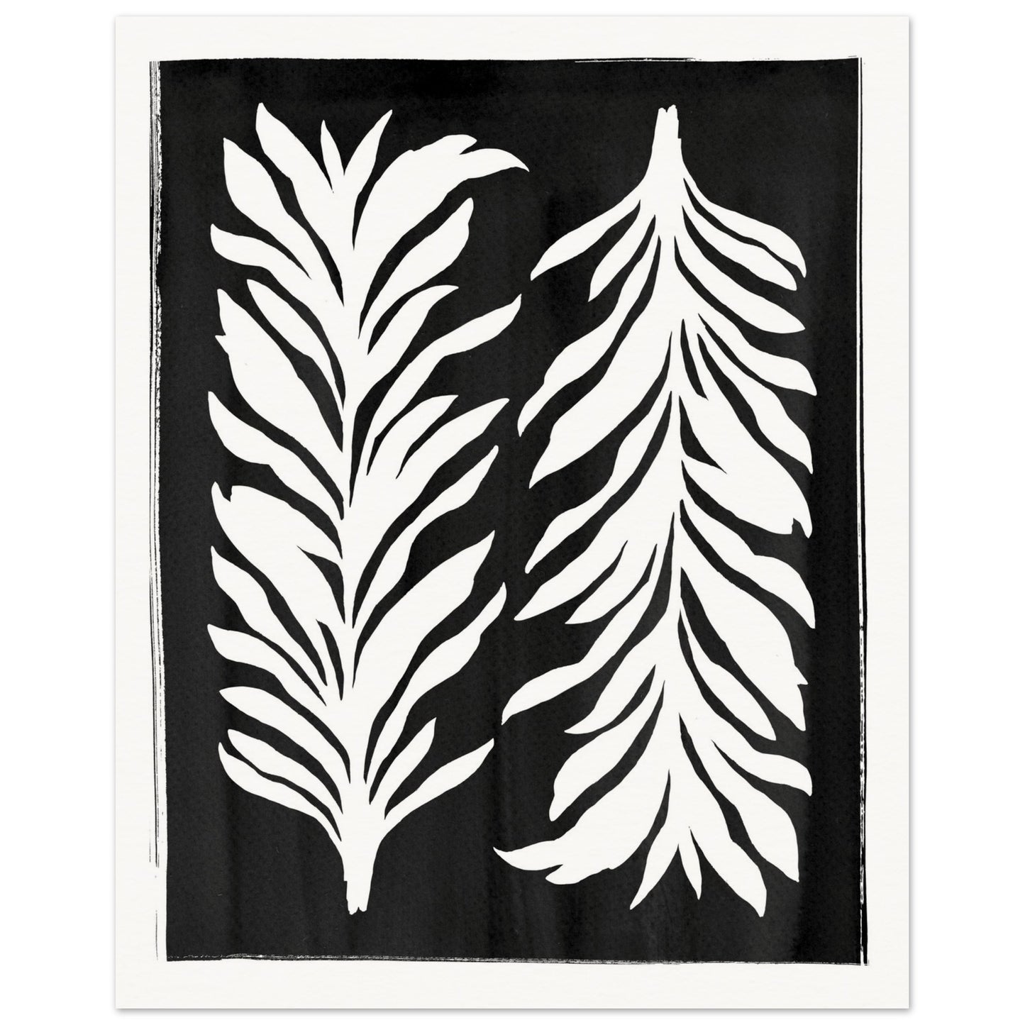 Black and White Lily Foliage