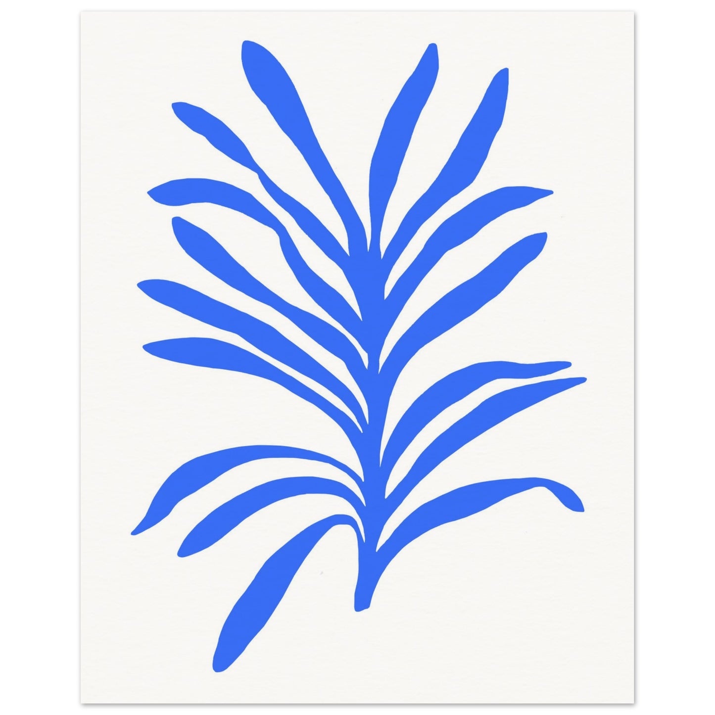 Cobalt Orchid Foliage